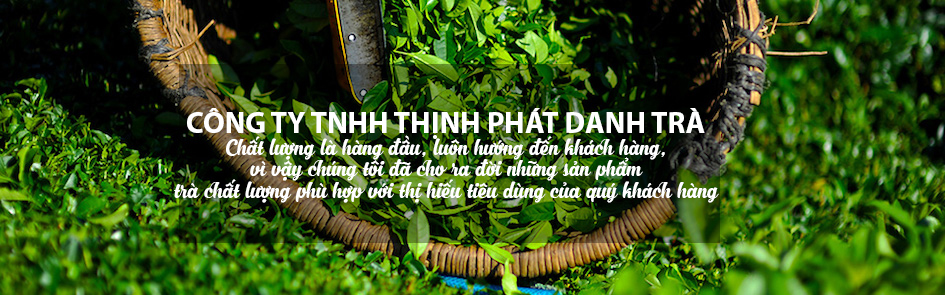 Phần mềm hóa đơn điện tử MISA meInvoice – Hỗ trợ toàn diện cho Công ty TNHH Thịnh Phát Danh Trà