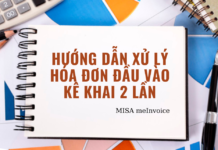 Hướng dẫn xử lý hóa đơn đầu vào kê khai 2 lần xu ly hoa don dau vao
