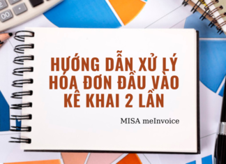 Hướng dẫn xử lý hóa đơn đầu vào kê khai 2 lần xu ly hoa don dau vao
