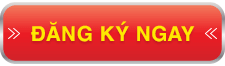 dang ky hoa don dien tu