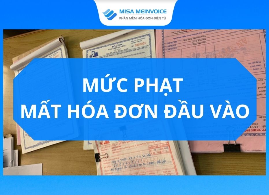 muc phat mat hoa don dau vao 1 muc phat mat hoa don dau vao 1