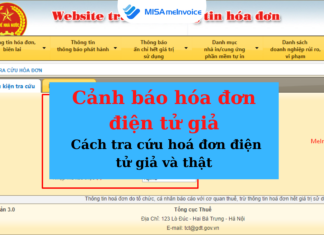 Cảnh báo hóa đơn điện tử giả: Cách tra cứu hoá đơn điện tử giả và thật 1. Vé máy bay điện tử là gì?