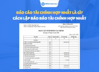 Báo cáo tài chính hợp nhất là gì? Phân biệt báo cáo tài chính hợp nhất và riêng lẻ báo cáo tài chính hợp nhất là gì