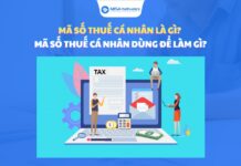 Mã số thuế cá nhân là gì? Mã số thuế cá nhân dùng để làm gì? mã số thuế cá nhân là gì mã số thuế cá nhân để làm gì