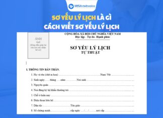 Sơ yếu lý lịch là gì? Cách ghi sơ yếu lý lịch xin việc CHI TIẾT sơ yếu lý lịch là gì và cách viết sơ yếu lý lịch