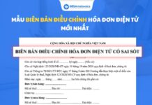 Mẫu biên bản điều chỉnh hóa đơn điện tử CHI TIẾT