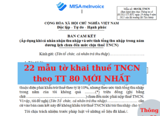 Tờ khai thuế thu nhập cá nhân mẫu số 05/KK-TNCN tờ khai thuế thu nhập cá nhân mới nhất