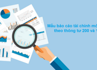 Mẫu báo cáo tài chính theo Thông tư 200, 133 và 99 Mẫu báo cáo tài chính