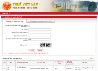 3 Cách tra cứu mã số thuế hộ kinh doanh CHÍNH XÁC tra cứu mã số thuế hộ kinh doanh trên trang tổng cục thuế