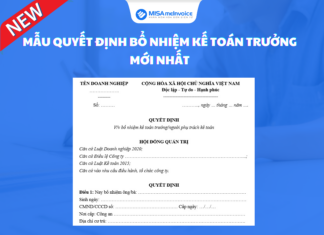 Mẫu quyết định bổ nhiệm kế toán trưởng chi tiết Mẫu quyết định bổ nhiệm kế toán trưởng