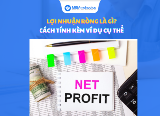 Lợi nhuận ròng là gì? Cách tính kèm ví dụ cụ thể lợi nhuận ròng