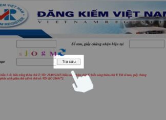 2 cách tra cứu biển số xe định danh NHANH – CHÍNH XÁC tra cứu biển số định danh ô tô