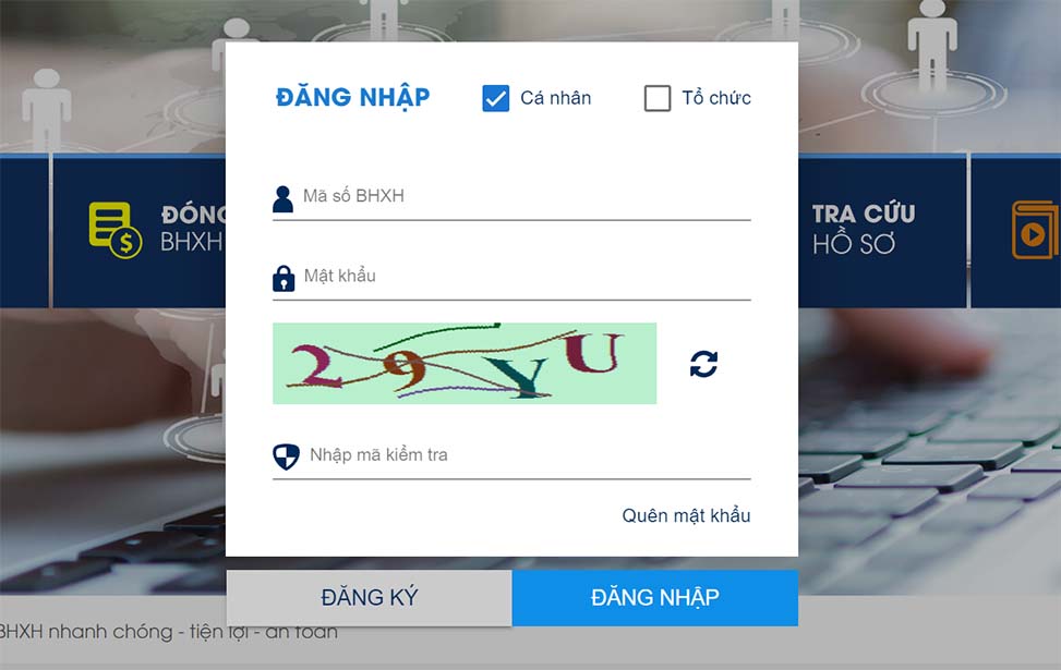 cập nhật cccd cho bảo hiểm xã hội