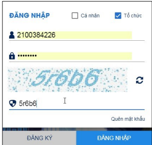 Doanh nghiệp đăng ký bảo hiểm xã hội online trên BHXH điện tử