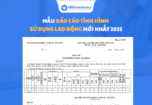Mẫu báo cáo tình hình sử dụng lao động mới nhất mẫu báo cáo tình hình sử dụng lao động 2025