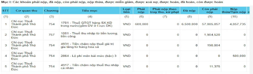 Kết quả tra cứu nợ thuế hộ kinh doanh