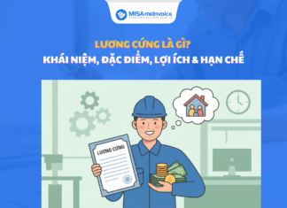 Lương cứng là gì? Khái niệm, đặc điểm, lợi ích & hạn chế lương cứng là gì
