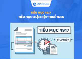 Tiểu mục 4917 – Tiểu mục chậm nộp thuế TNCN tiểu mục 4917 chậm nộp thuế TNCN