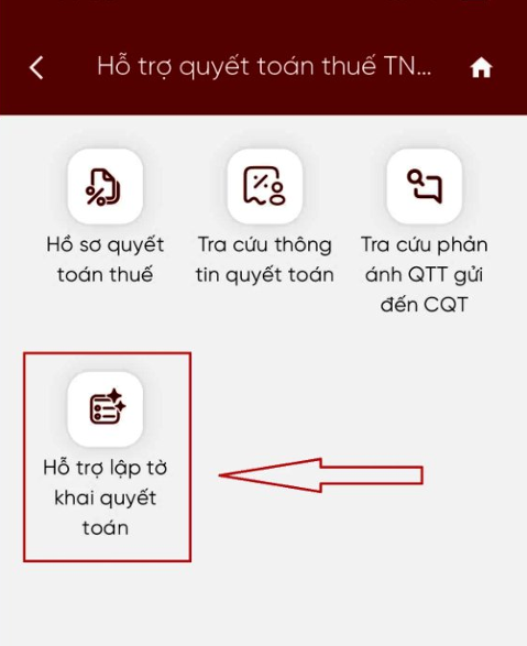 hỗ trợ lập tờ khai quyết toán